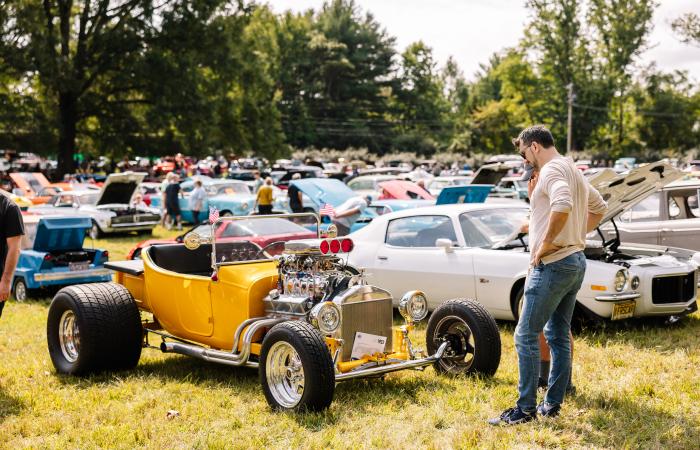Hagley Car Show
