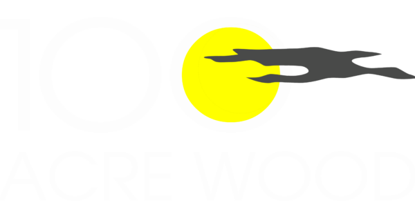 Rally in the 100 Acre Wood