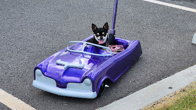 Bleizn FX Cruz Nights - Hot Rods & Classics of Oahu
