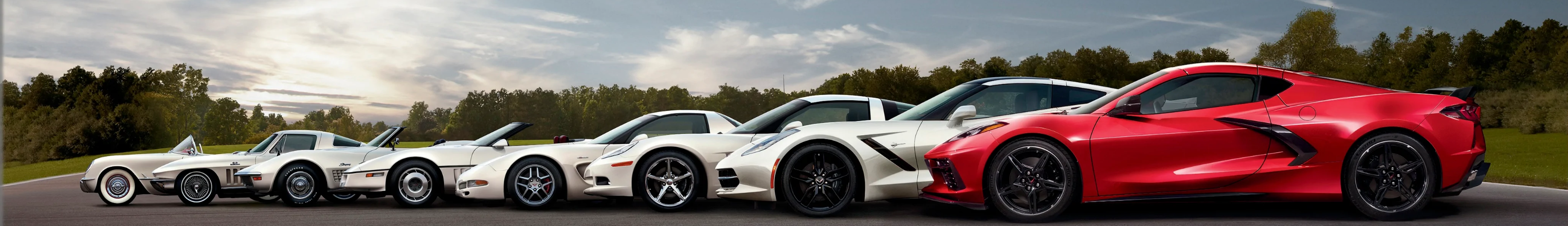 33rd Annual Texas Corvette Association Open Car Show