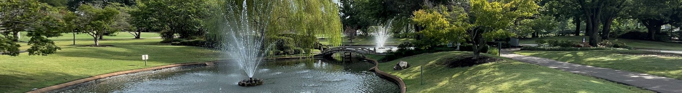 Bartlett Festival Car Show & BBQ