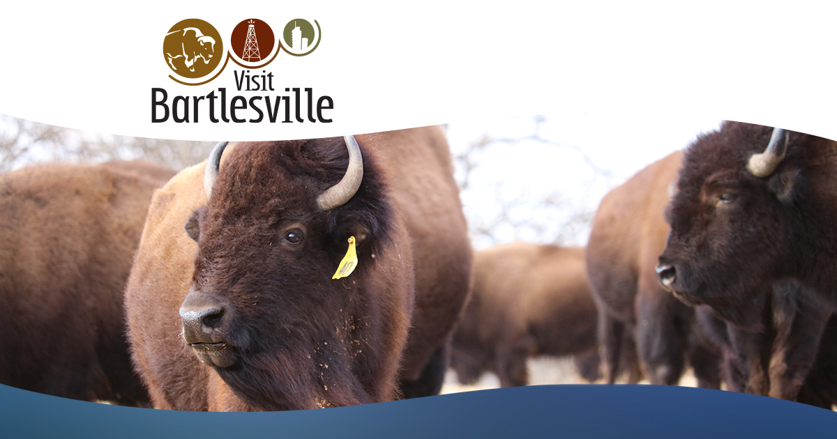 Gathering at the Roc