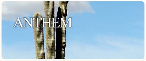 Sonoran Charity Concours Show