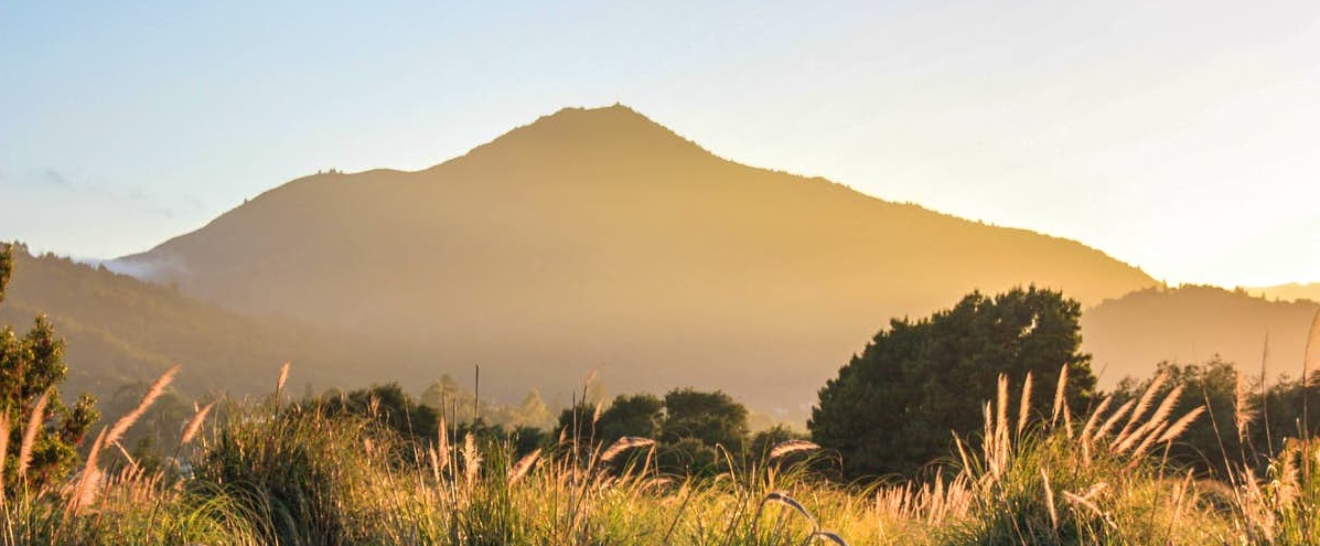 Corte Madera Lions Club EV & Classic Car Show