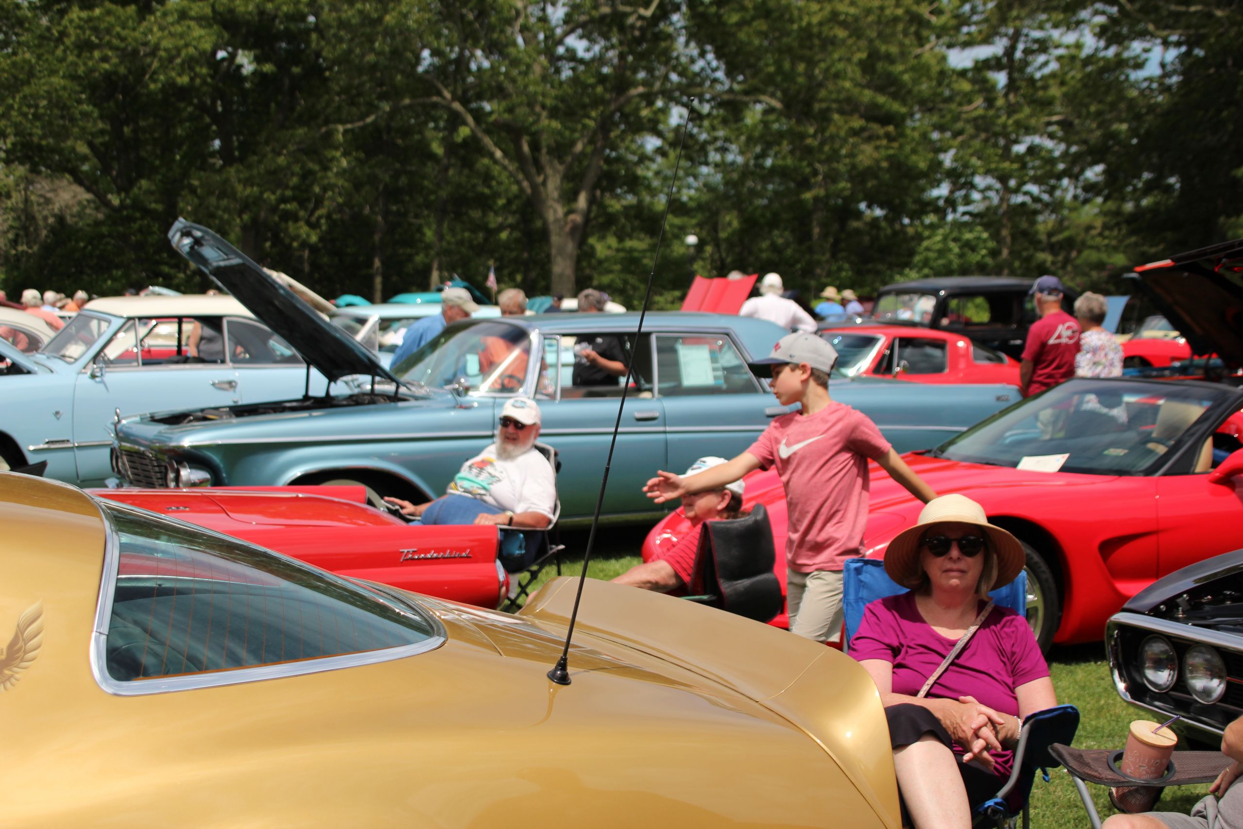 53rd Annual Heritage Auto Show