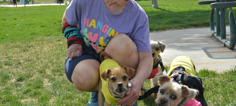 NM Motor Events revs up for huge car show in RR