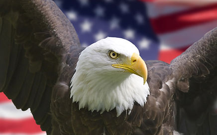 Delaware Valley Road Runners Car Club