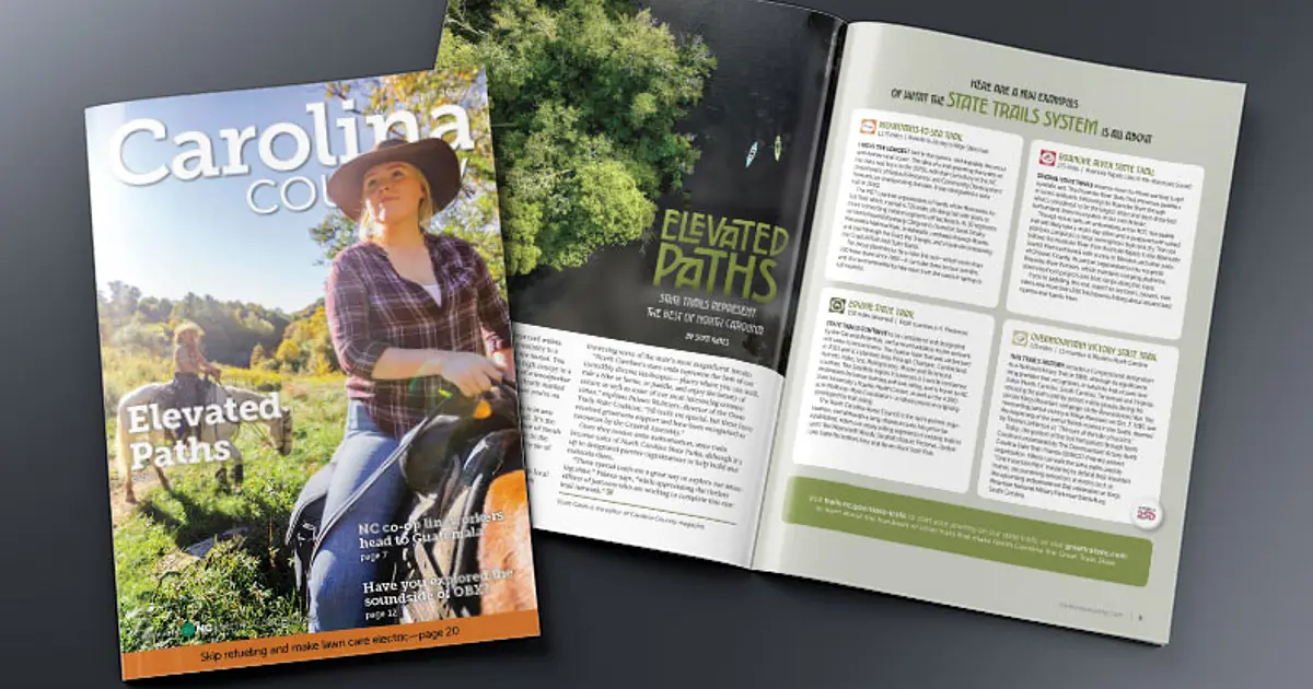 Studebaker, Avanti, Packard 4th Annual Fall Fling Car Show | Carolina Country