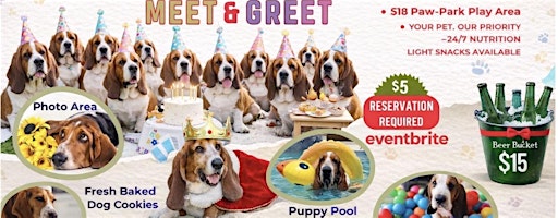 Basset Hound Meet & Greet