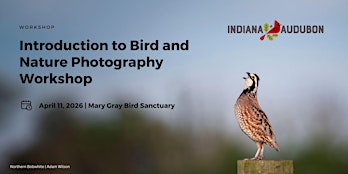 Introduction to Bird and Nature Photography Workshop