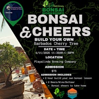 Bonsai & Cheers - Playalinda - L&J Nursery -Barbados Cherry Tree