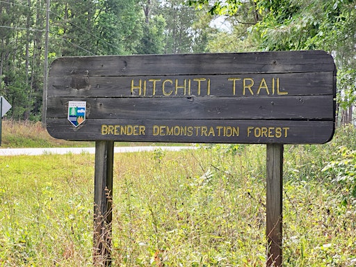 Trail Spotlight - Hitchiti Trail
