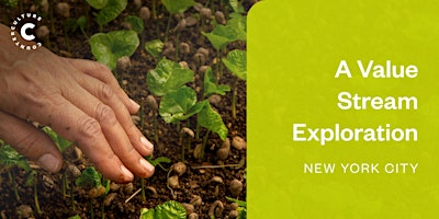 Coffee Origins: A Value Stream Exploration- New York City