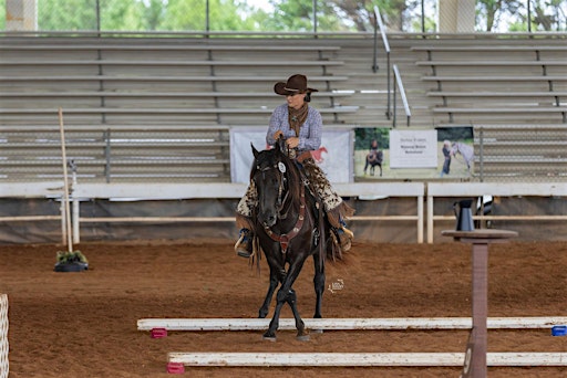 USA Working Equitation Licensed Show May 2026 @ Brandreth Farms