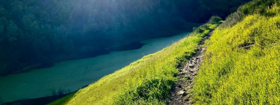 Rim Rock 50 Mile Trail Challenge