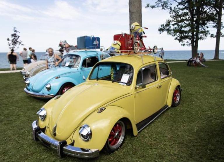 VW Bug Infestation Car Show