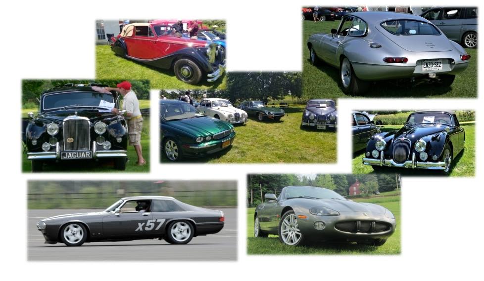 Jags and Java