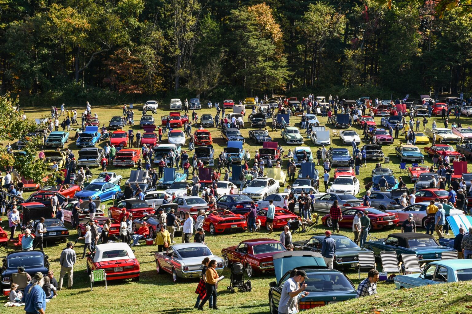 Rockville Antique and Classic Car Show