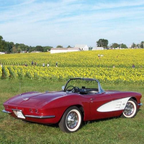 Romancing the Chrome