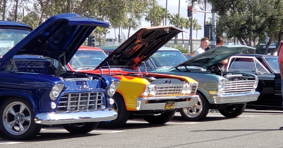Chihuahua Car Meet Up