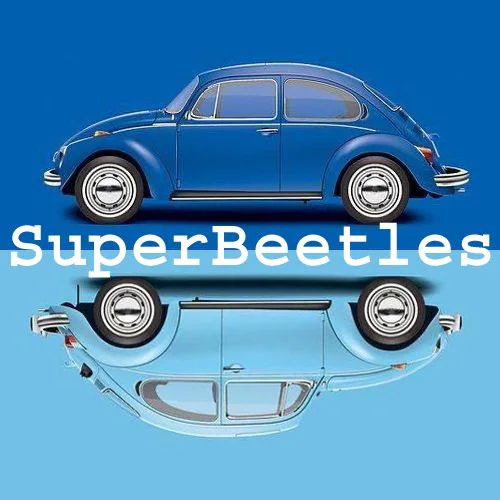 BUG-IN #49