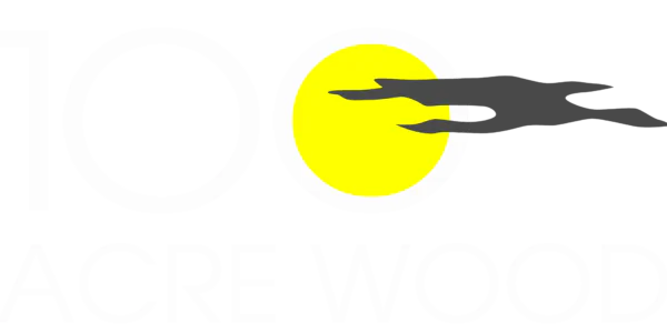 Rally in the 100 Acre Wood