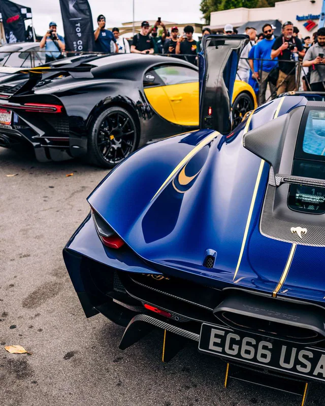 Exotics on Broadway