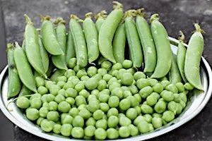 Think Green Thursday: Seed Saving