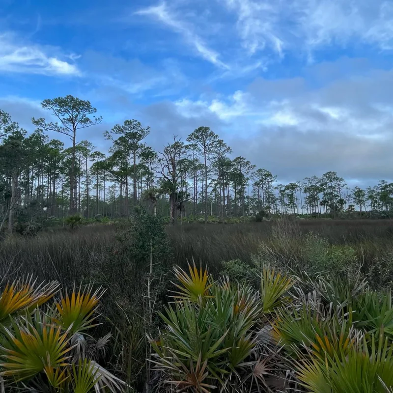 Across Florida 200